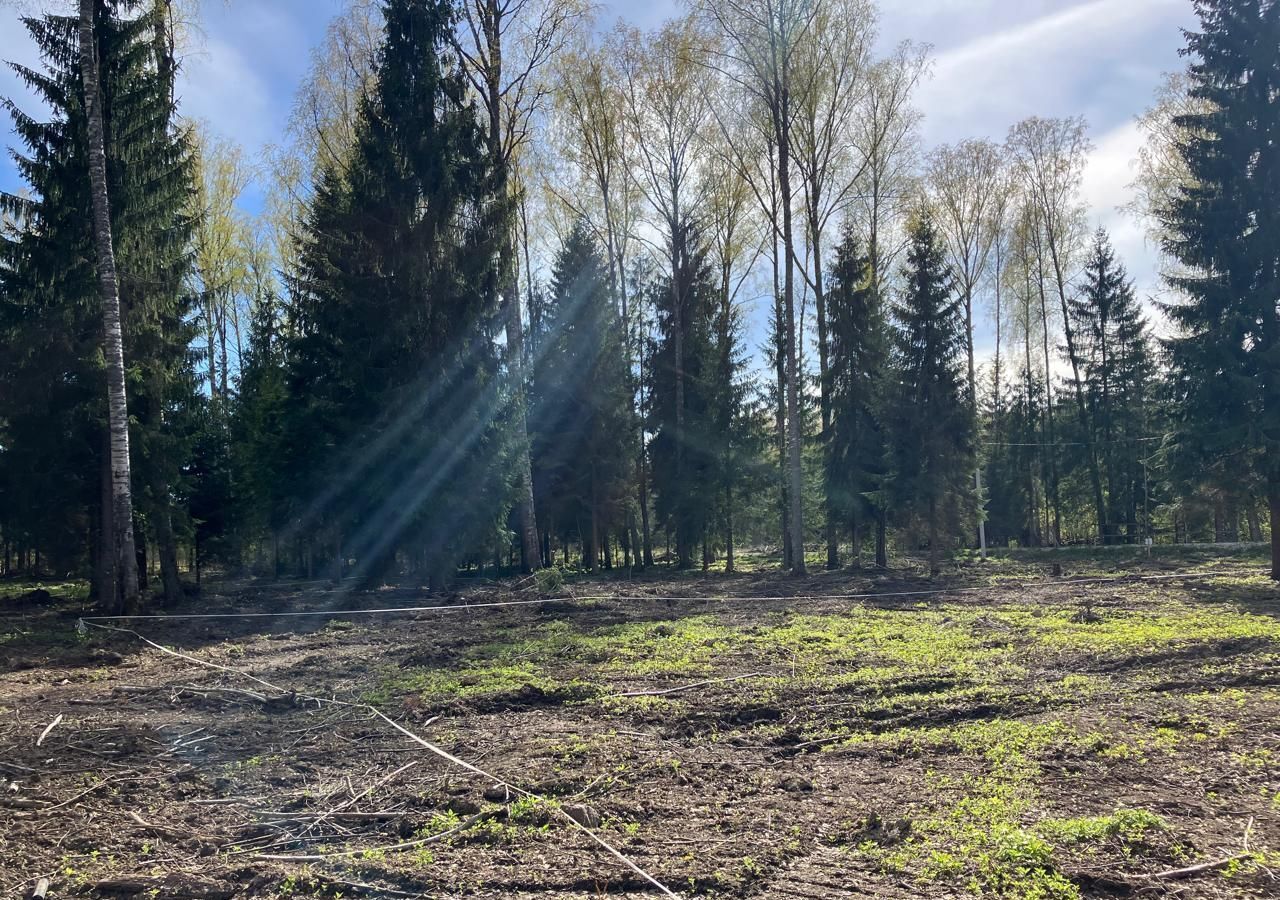 земля р-н Ломоносовский д Петровское Гостилицкое шоссе, 9733 км, Оржицкое сельское поселение, Гостилицы фото 1