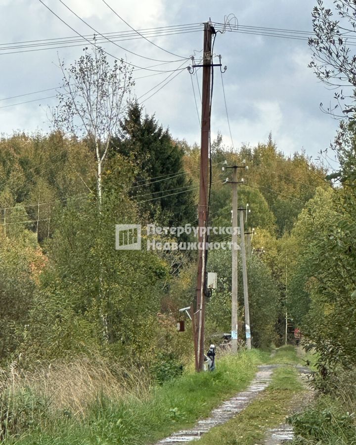 земля р-н Киришский массив Посадников Остров снт Виктория Московское шоссе, 9808 км, Кусинское сельское поселение, 44-я линия, 55, Кириши фото 8