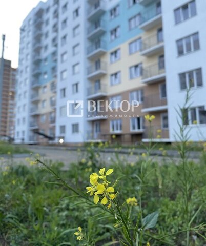 р-н Дзержинский ул Брагинская 18к/4 ЖК Возрождение фото