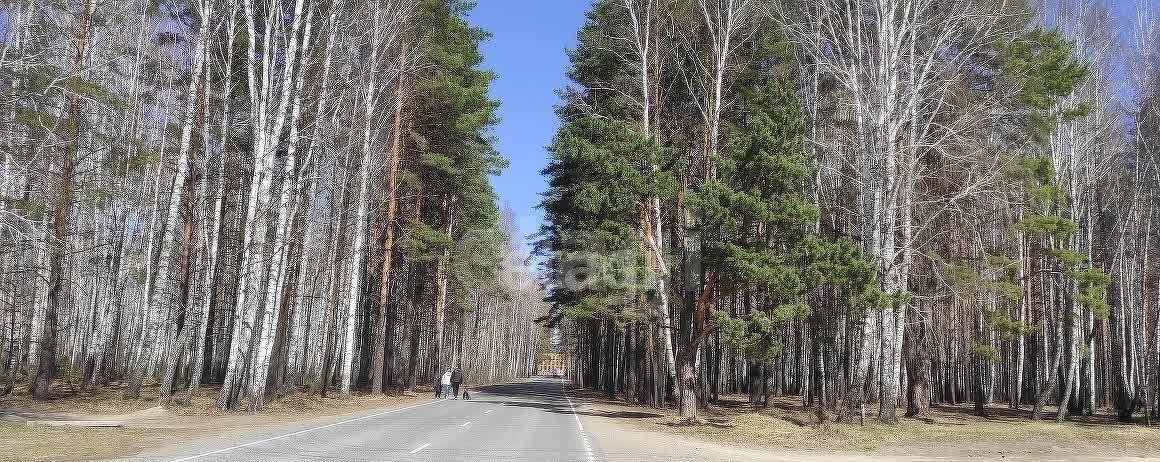 земля г Тюмень снт Лесная Поляна ул Кленовая фото 14