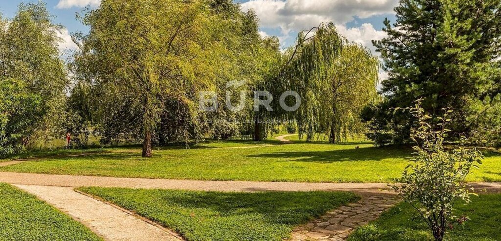 земля городской округ Истра д Чесноково Нахабино, 4 фото 1