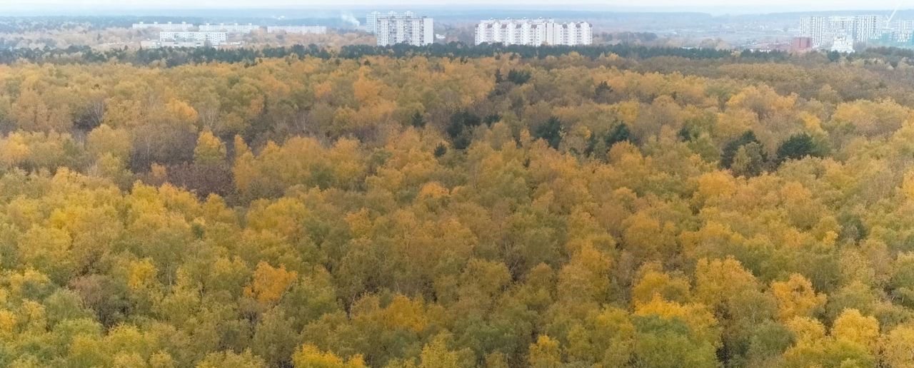 квартира городской округ Одинцовский д Раздоры ул. Липовой Рощи, 4к 1, Москва, Строгино фото 26