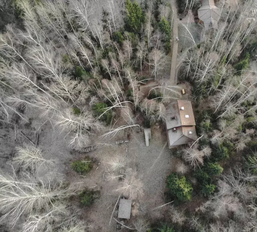 дом городской округ Дмитровский п Андрейково КП Андрейково-Лесное территория, 10, Подосинки фото 10