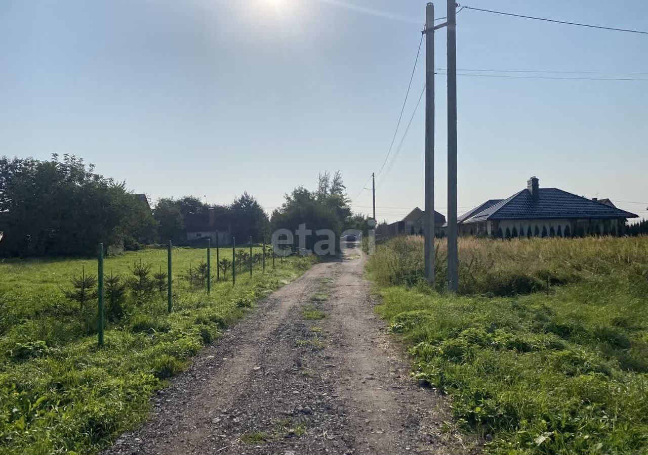 земля р-н Гурьевский п Заозерье Калининград фото 10