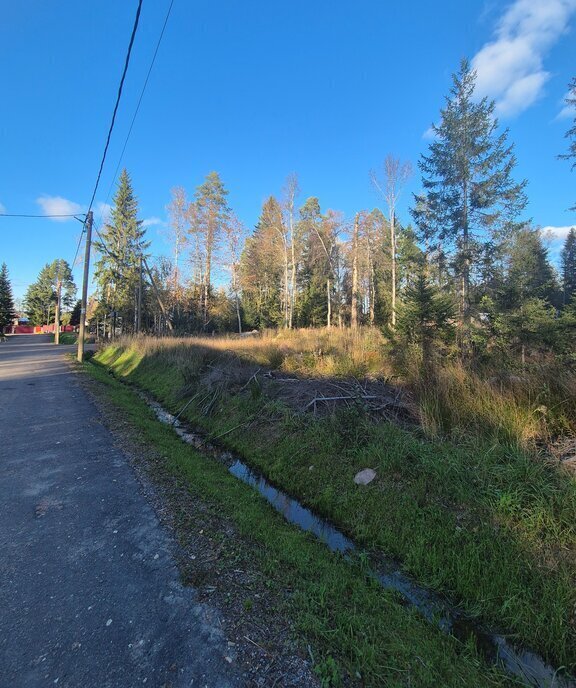 земля р-н Выборгский Приморское городское поселение, коттеджный посёлок Сосновый пляж, 184 фото 7