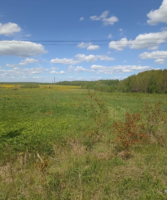 земля городской округ Клин д Никитское фото 1