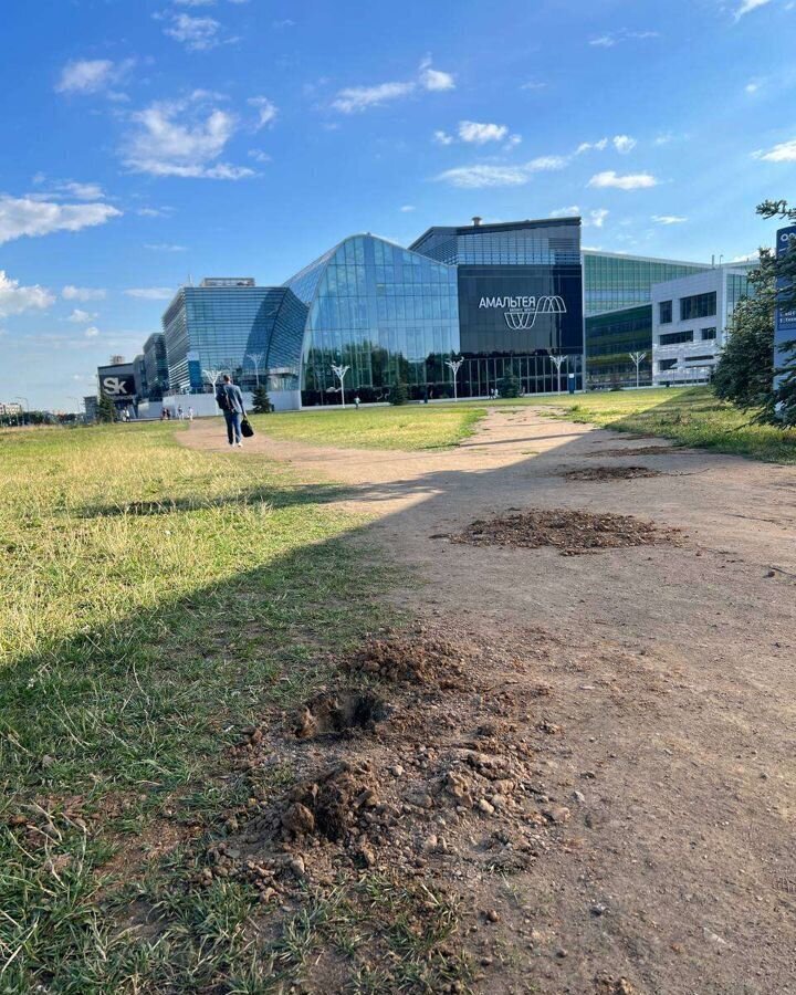 квартира городской округ Одинцовский рп Новоивановское б-р Эйнштейна 3 Новоивановское фото 19