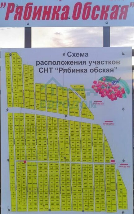 земля р-н Новосибирский снт Рябинка обская ул Западная 7 Толмачёвский сельсовет фото 1