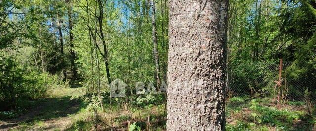 Куйвозовское с/пос, Солнечные полянки ДНП, ул. Парковая фото