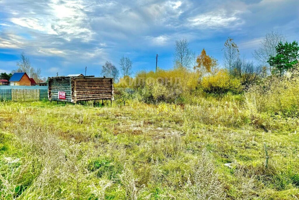 земля р-н Томский с Курлек ул Веселая фото 2