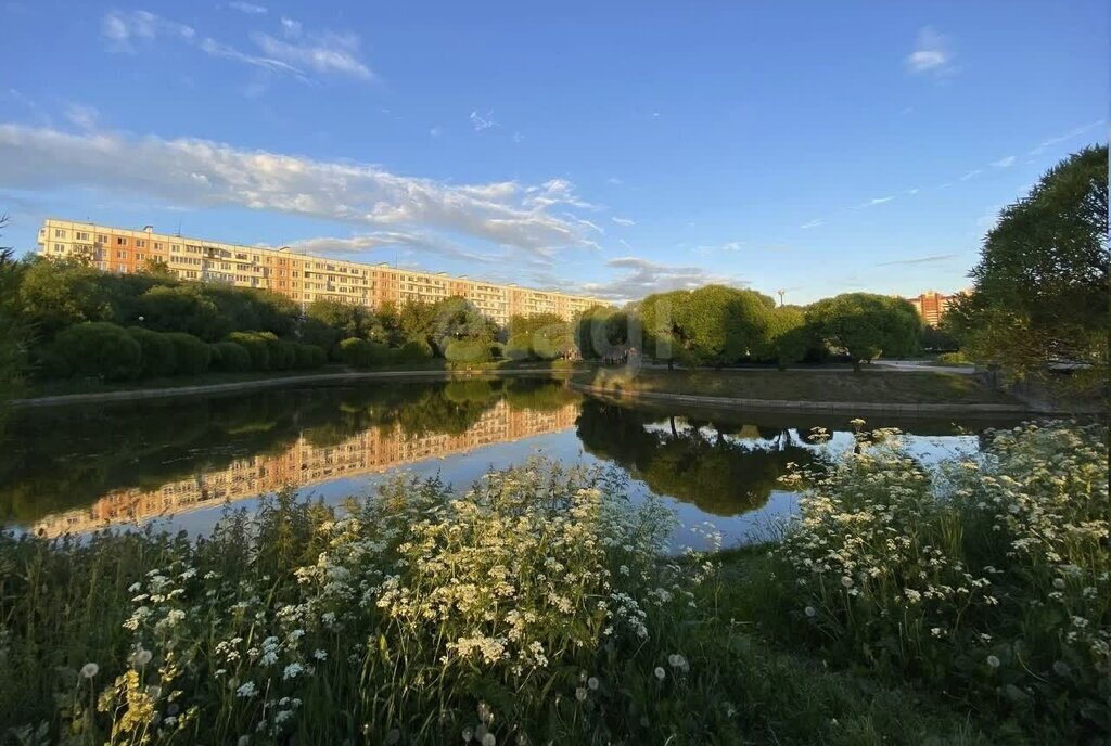 квартира г Санкт-Петербург метро Международная ул Белградская 26к/9 фото 10