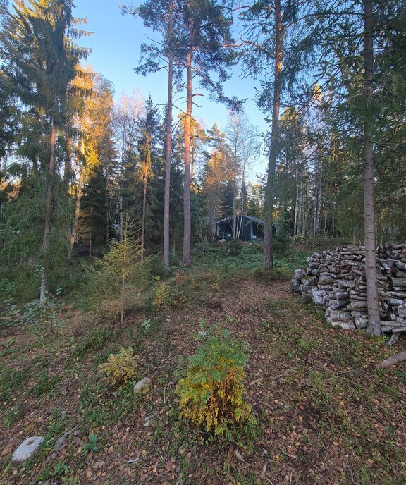 земля р-н Выборгский Приморское городское поселение, коттеджный посёлок Сосновый пляж, 151 фото 7