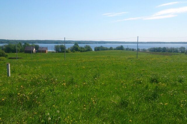 деревня Пальцево фото