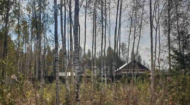 земля г Всеволожск пр-кт Всеволожский Ладожская фото