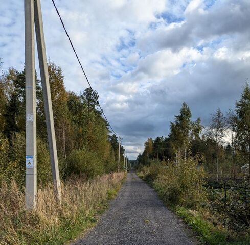 р-н Кировский массив Восход снт 19 км Синявинское городское поселение фото