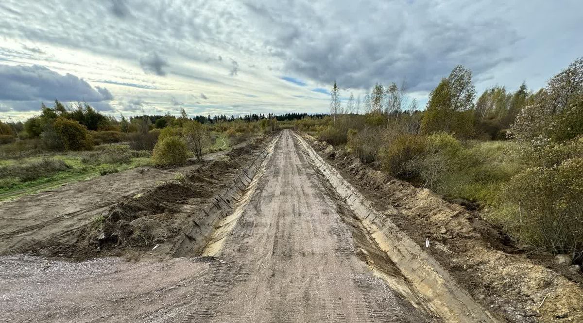 земля р-н Всеволожский г Всеволожск ул Анатолия Молчанова фото 4