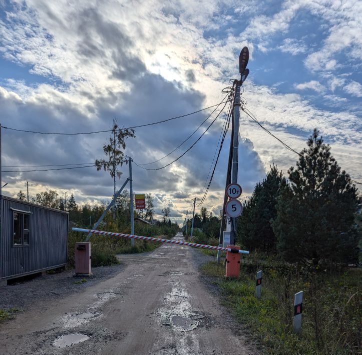 земля р-н Кировский массив Восход снт 19 км Синявинское городское поселение фото 14