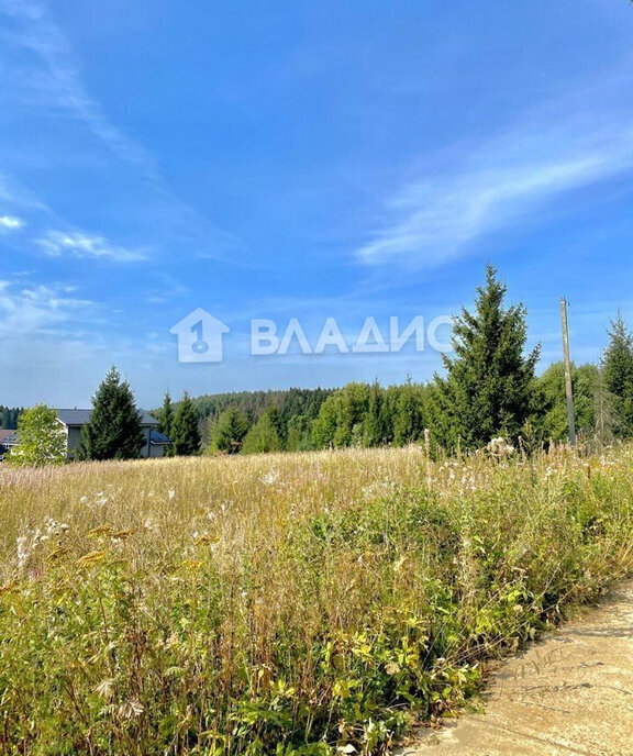 дом городской округ Дмитровский дачный посёлок Аусбург, Нижний тупик фото 20