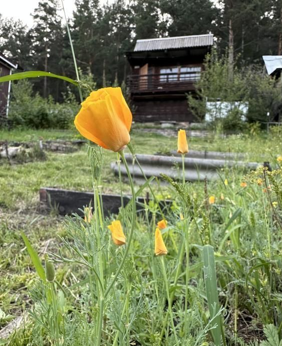 дом г Саяногорск рп Майна снт Большой Карак садоводческое товарищество фото 1