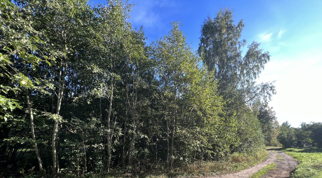 земля р-н Всеволожский д Ваганово Рахьинское городское поселение фото 1