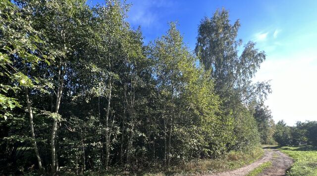 земля д Ваганово Рахьинское городское поселение фото