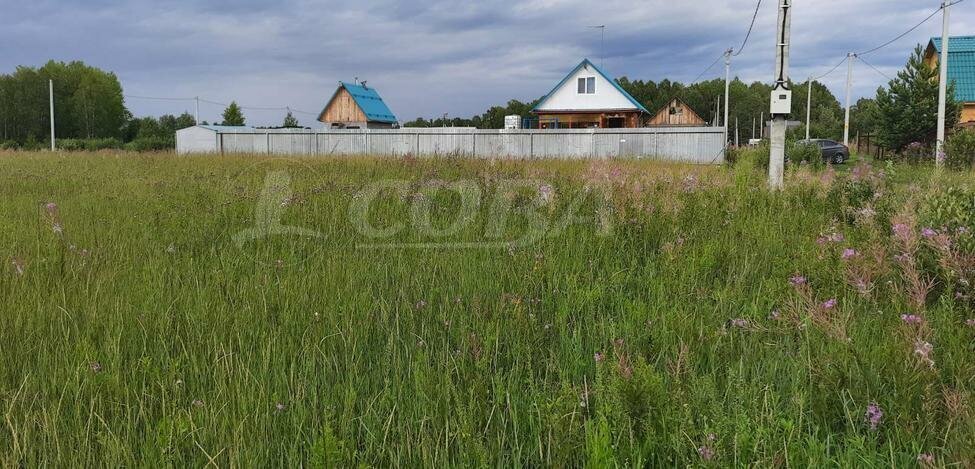 земля р-н Тюменский дачный посёлок Ежевика фото 2