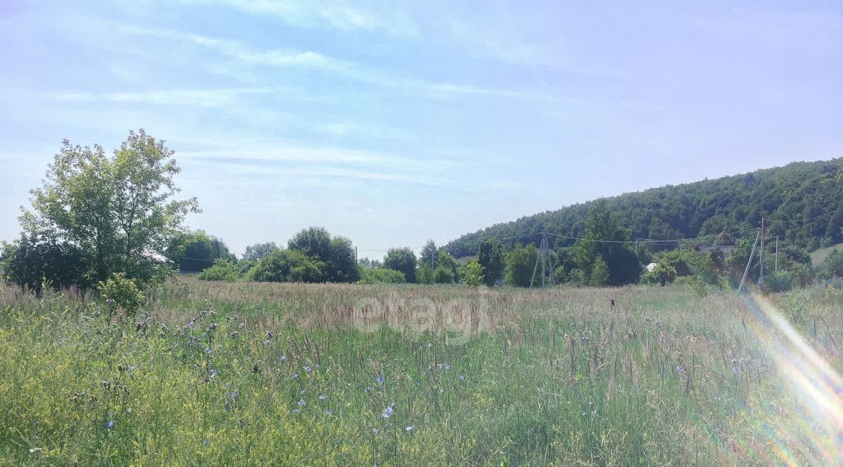 земля р-н Кочкуровский с Подлесная Тавла ул Новая фото 4