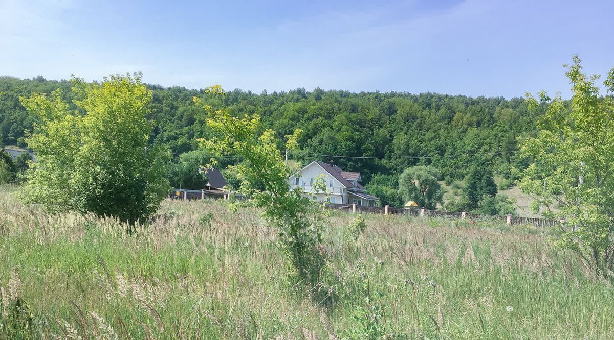 земля р-н Кочкуровский с Подлесная Тавла ул Новая фото 6