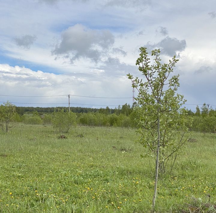 земля городской округ Чехов д Алексеевка ул Малиновая фото 4