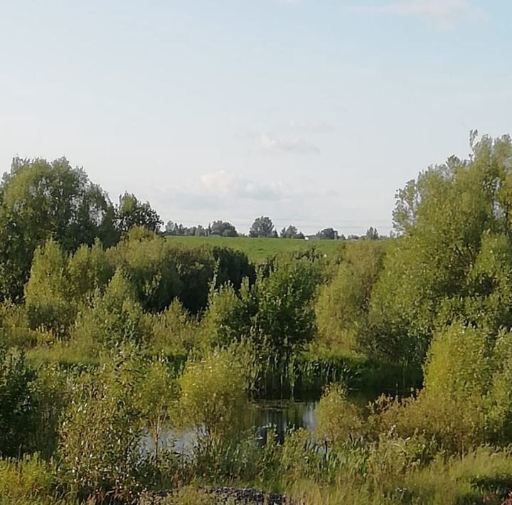 дом городской округ Дмитровский с Рогачево ул Красногвардейская фото 20