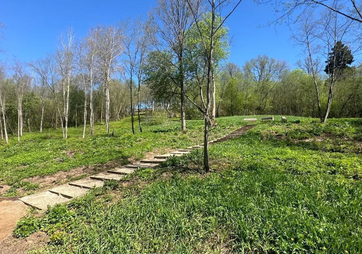 земля г Химки 9745 км, КДЗ Рождественский Парк, Лучистая ул., 13, Менделеево, Ленинградское шоссе фото 7