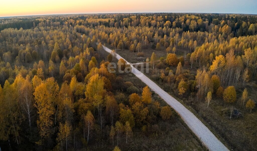 земля р-н Калининский д Шалайково улица Берёзовая Аллея фото 14