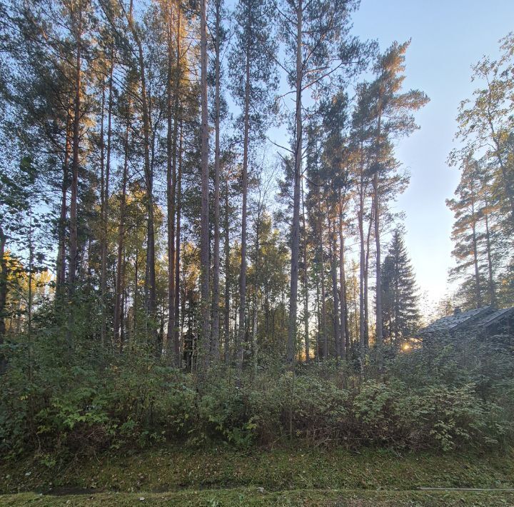 земля р-н Выборгский Приморское городское поселение, Сосновый пляж кп, 36 фото 9