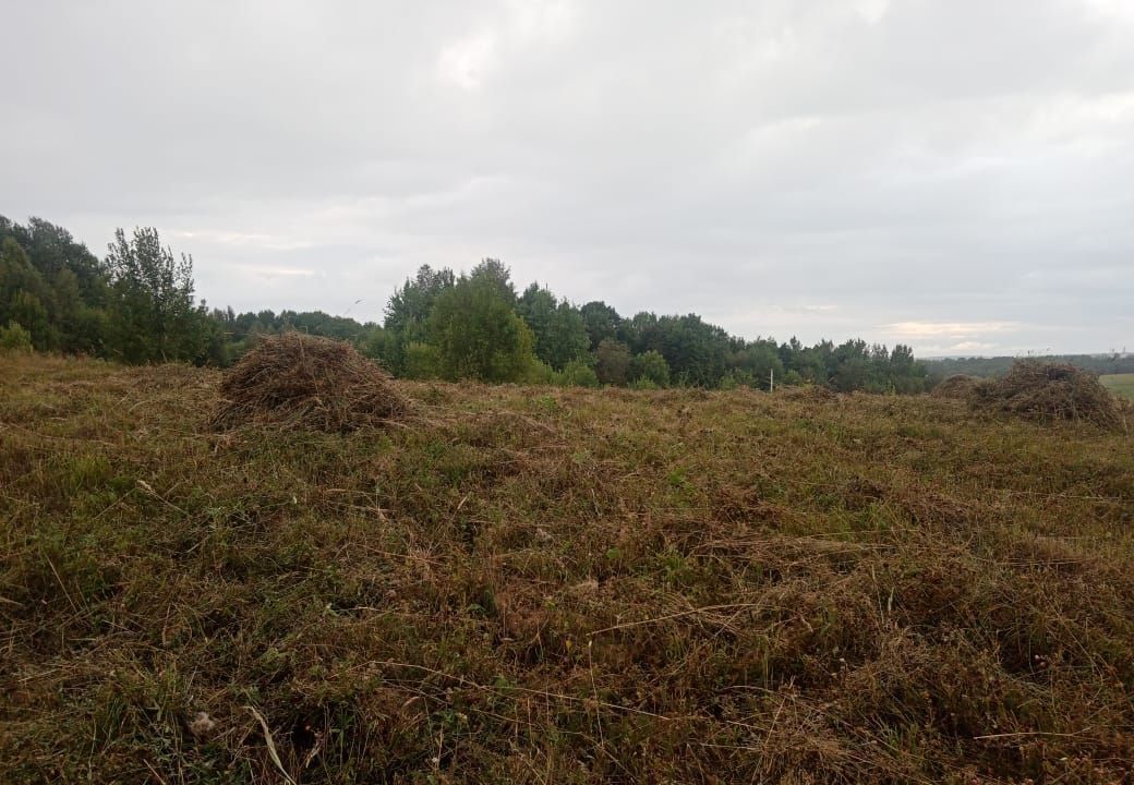 земля городской округ Сергиево-Посадский г Краснозаводск 65 км, М-8 Холмогоры, 85-й километр, Ярославское шоссе фото 7