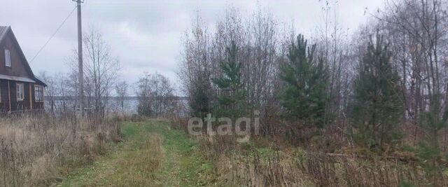 Белозерский муниципальный округ фото