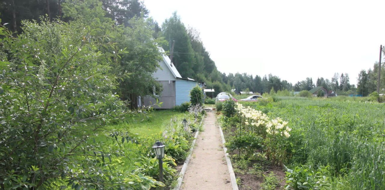 земля р-н Сокольский д Угольское с пос, СОТ Легенда садоводческое товарищество, Шекснинский район фото 3