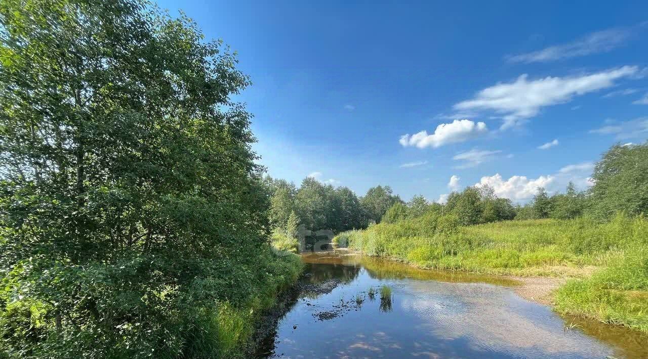 земля р-н Череповецкий д Марьинская Яргомжское с/пос, 15 фото 8