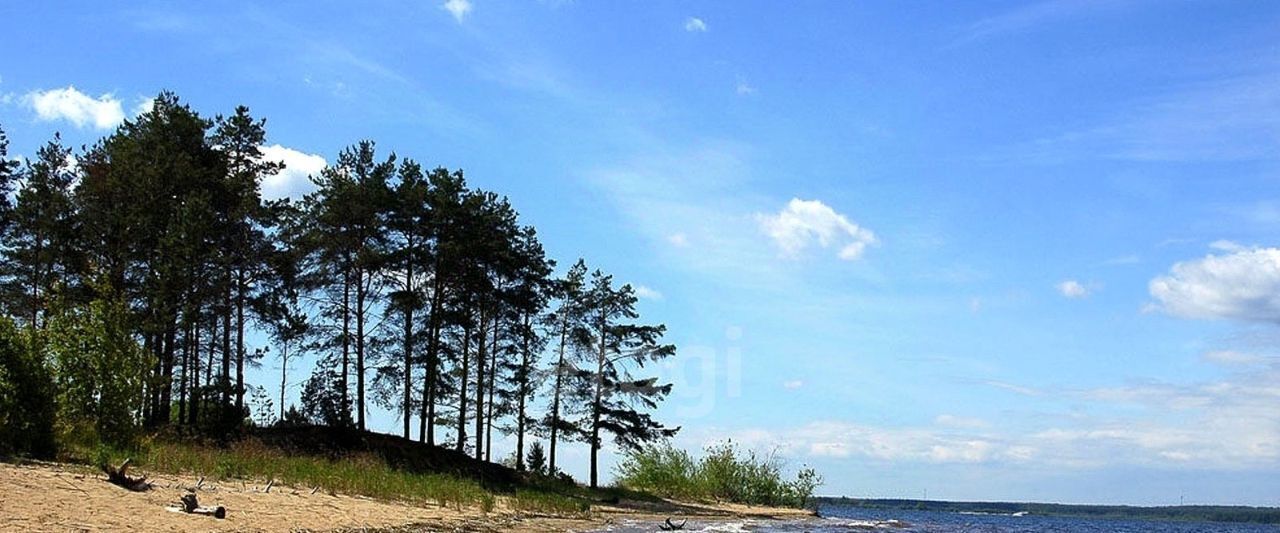 земля р-н Череповецкий д Городище Югское муниципальное образование фото 9