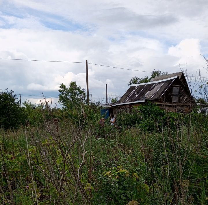 земля р-н Оренбургский п Экспериментальный снт Сулак ул Грибоедова фото 3