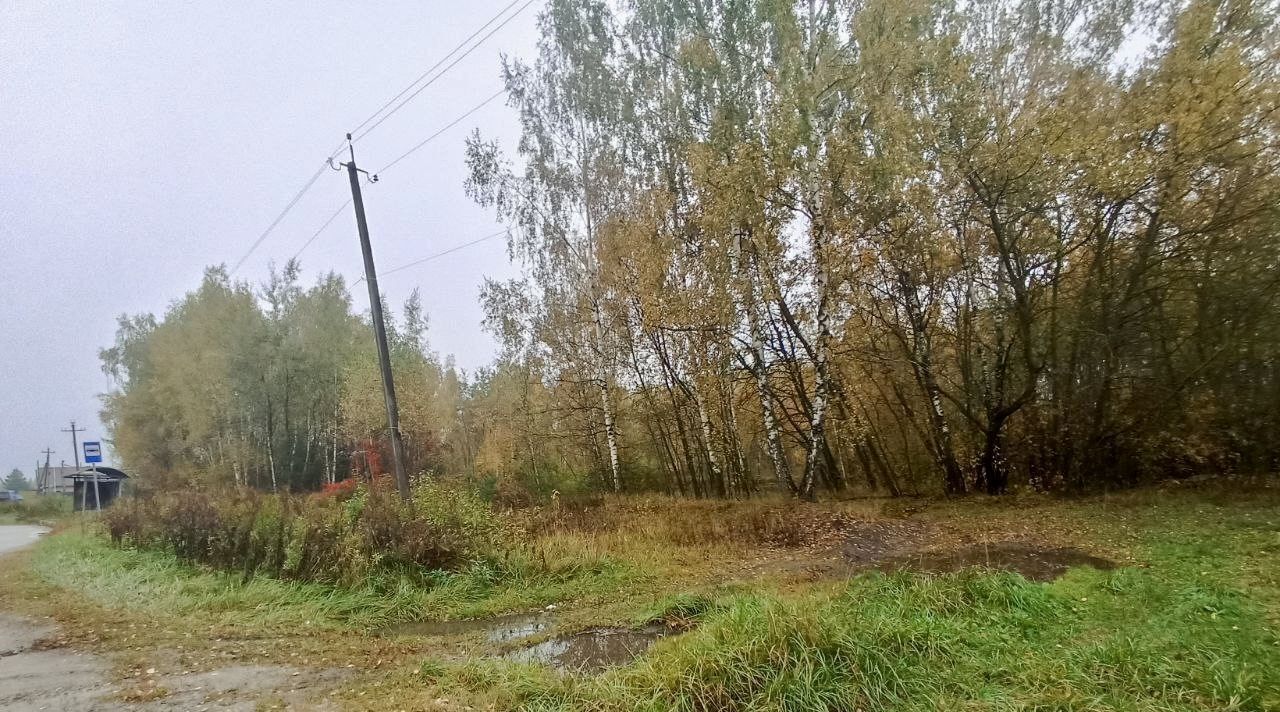 офис городской округ Раменский д Белозериха Ипподром, ул. Центральная фото 12