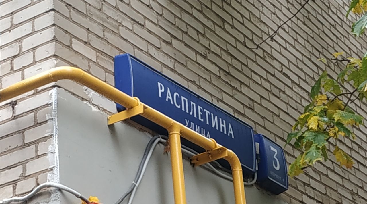 квартира г Москва ул Расплетина 3к/4 поле, Октябрьское фото 21