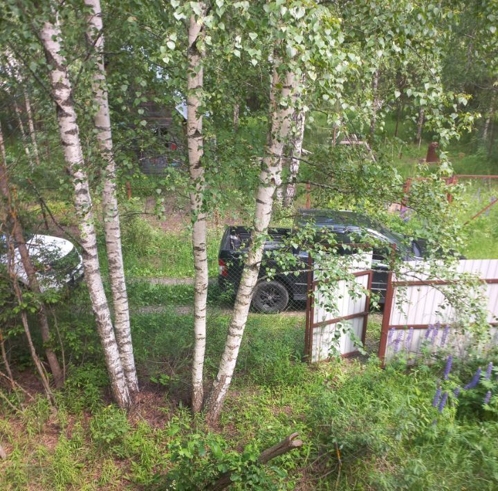 дом городской округ Орехово-Зуевский п Авсюнино СНТ, 7-я линия, Надежда фото 19