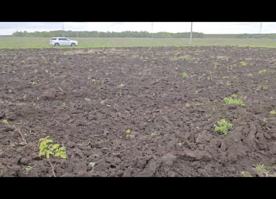 земля р-н Пестречинский Республика Татарстан Татарстан фото 2