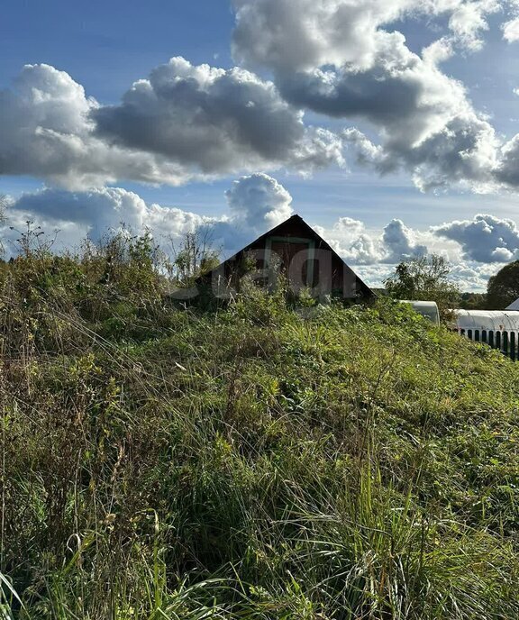 дом р-н Шекснинский д Скорынино сельское поселение Сиземское фото 14