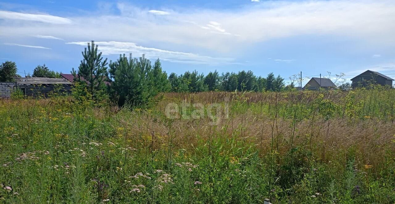 земля р-н Первомайский п Новый мкр-н Александрова слобода, Берёзовка фото 3