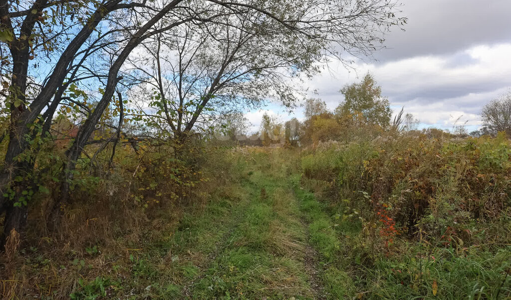 земля р-н Хабаровский с Тополево снт Ветерок фото 16