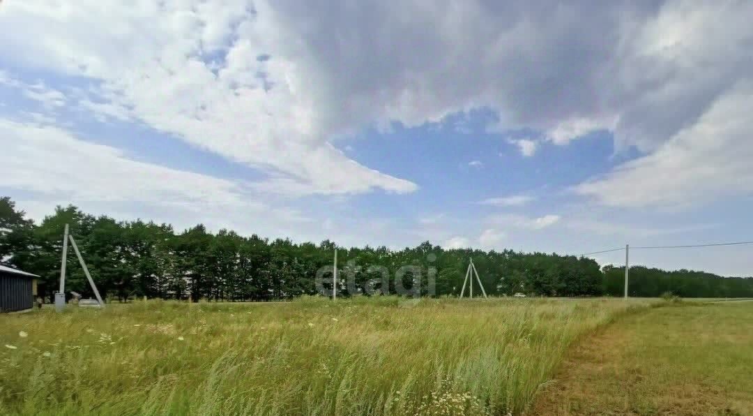 земля р-н Белгородский с Беломестное ул Центральная Беломестненское с/пос фото 6