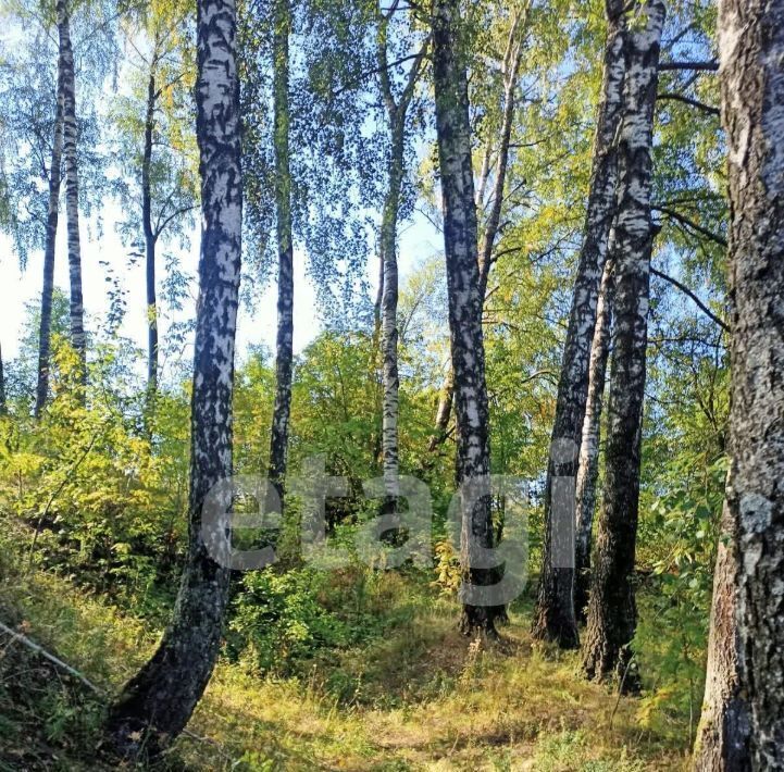 дом р-н Брянский п Путевка снт Русь пос, СДТ, Снежское с, с. Толмачево фото 18