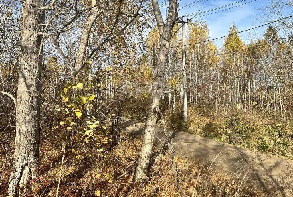 земля р-н Сосновский д Малиновка Кременкульское сельское поселение фото 1