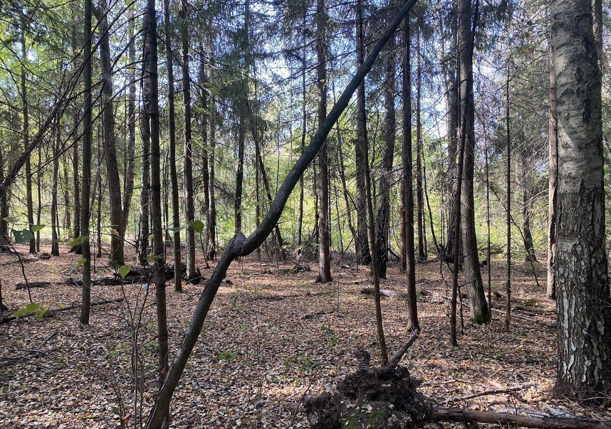 земля городской округ Наро-Фоминский д Обухово 9777 км, Кубинка, Минское шоссе фото 19